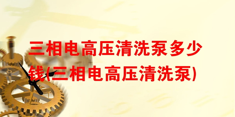 三相电高压清洗泵多少钱